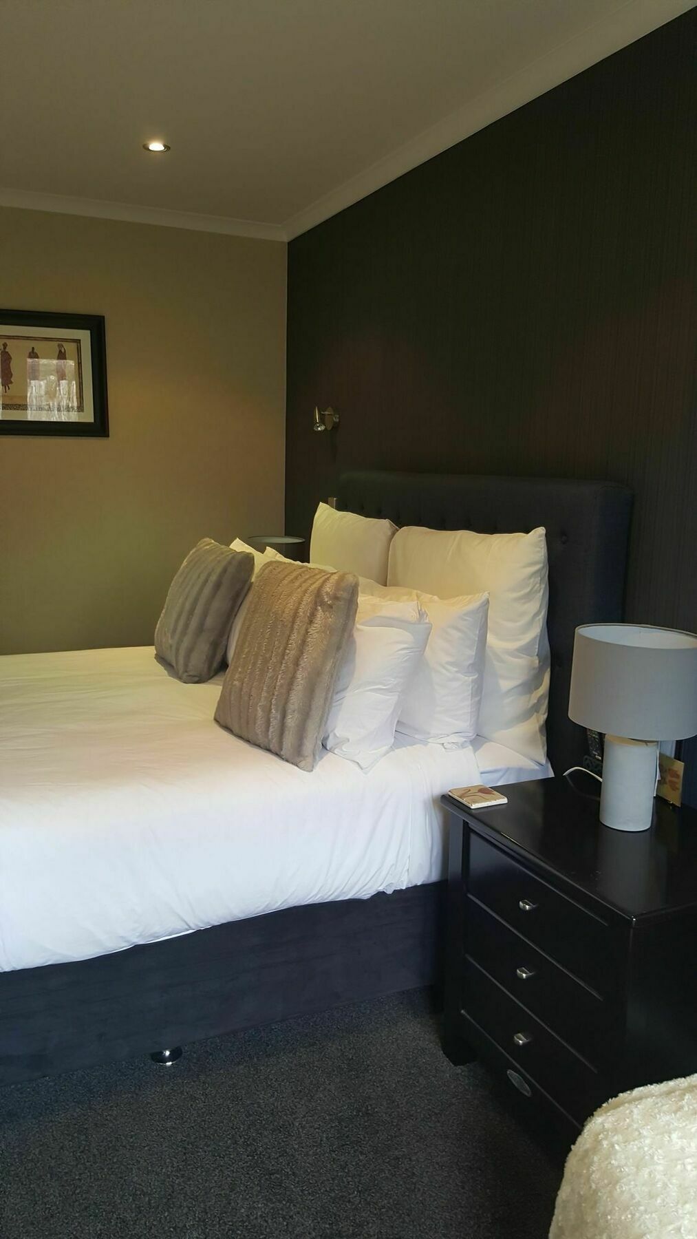 Heta Road B&B New Plymouth Dış mekan fotoğraf