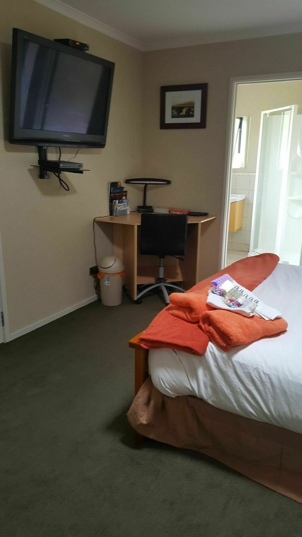 Heta Road B&B New Plymouth Dış mekan fotoğraf